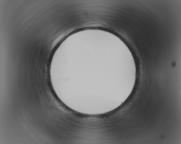 X0000115840834200912242015