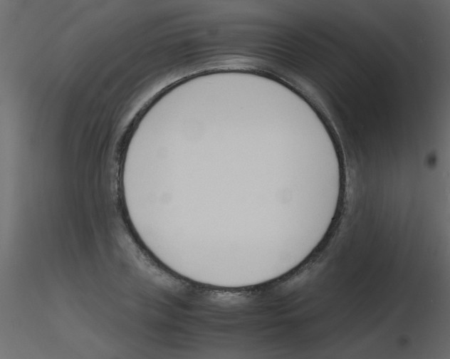 X0000115840835200912242015