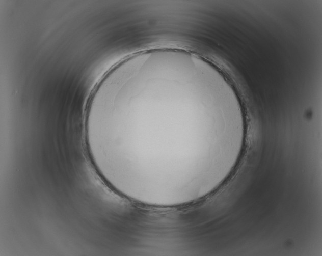 X0000115840836200912242015