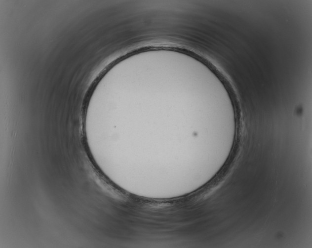 X0000115840837200912242015