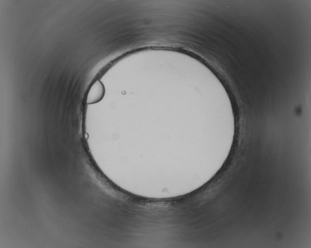 X0000115840838200912242015