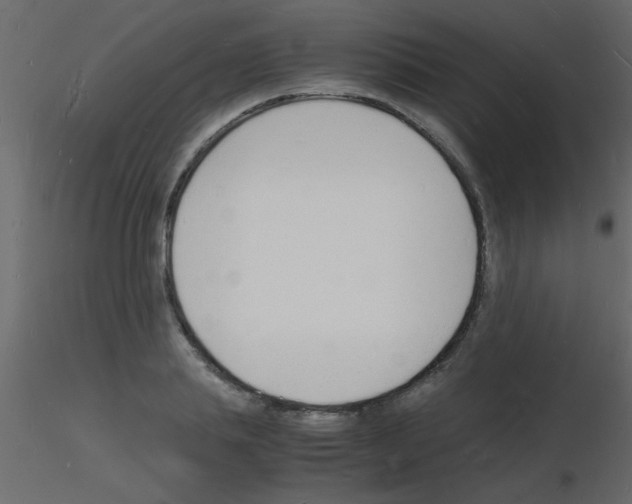 X0000115840839200912242015