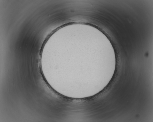 X0000115840840200912242015