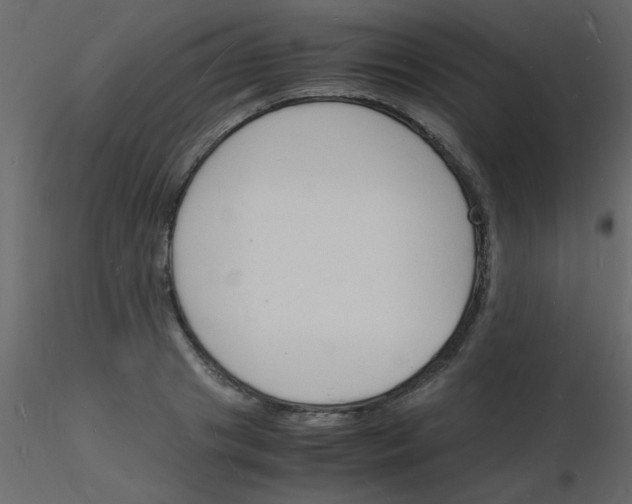 X0000115840841200912242015