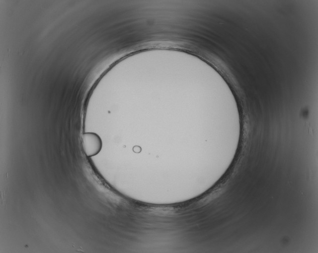 X0000115840844200912242015