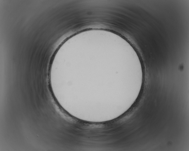 X0000115840845200912242015