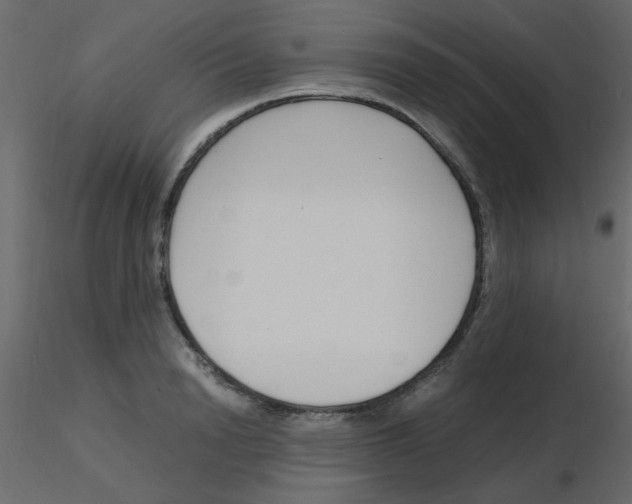 X0000115840846200912242015