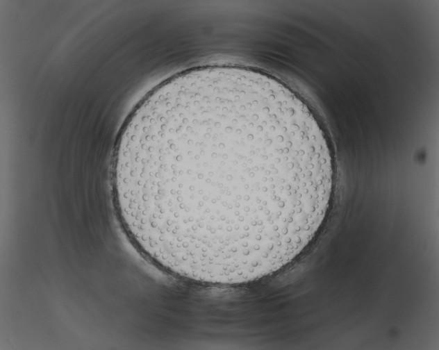 X0000115840847200912242015