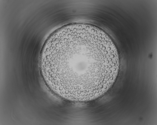 X0000115840848200912242015