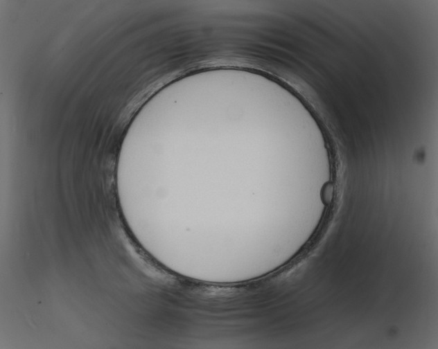 X0000115840849200912242015