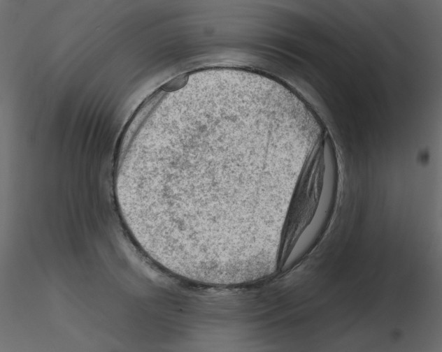 X0000115840850200912242015