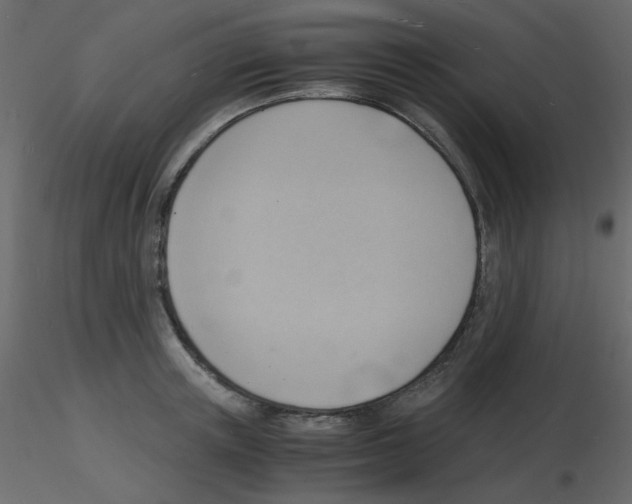 X0000115840851200912242015