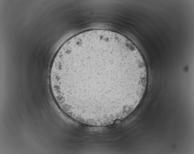 X0000115840853200912242015