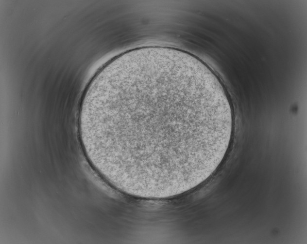 X0000115840854200912242015