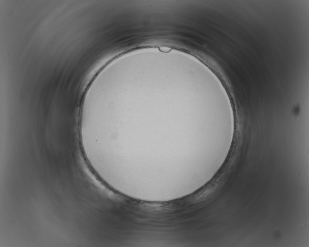 X0000115840855200912242015