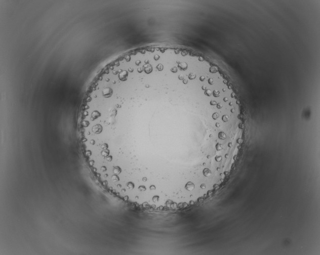 X0000115840856200912242015