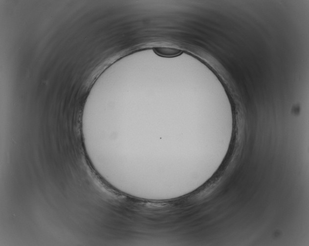 X0000115840857200912242015