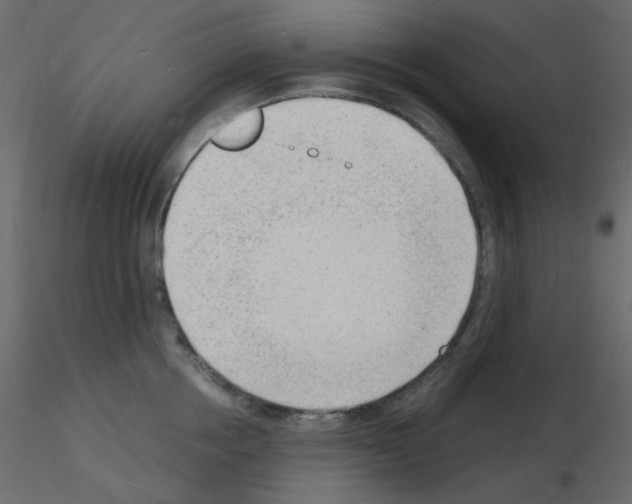 X0000115840858200912242015