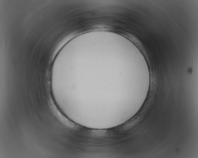 X0000115840859200912242015