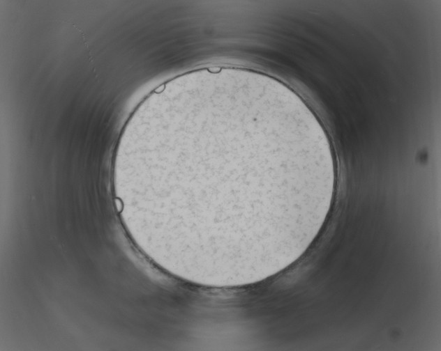 X0000115840862200912242015