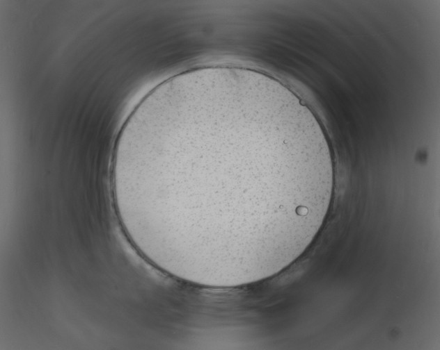 X0000115840863200912242015