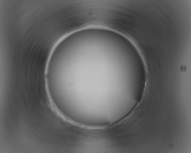 X0000115840864200912242015