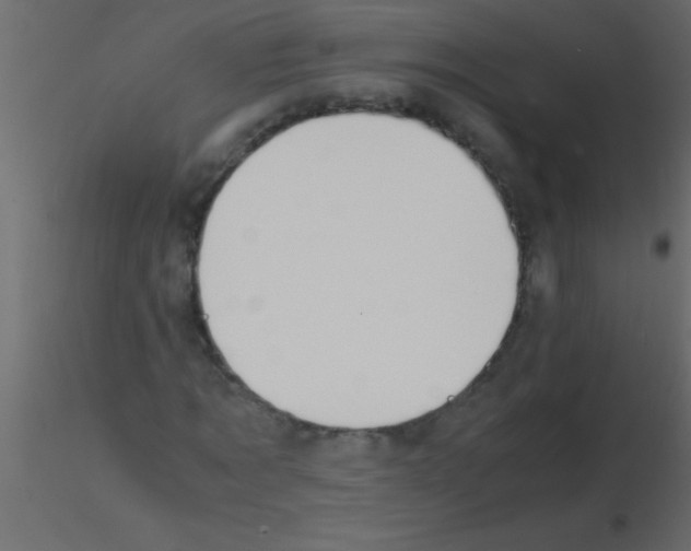 X0000115840869200912242015