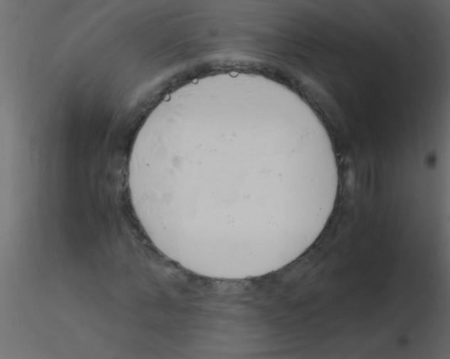 X0000115840870200912242015