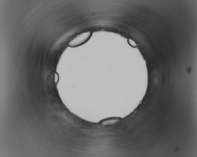 X0000115840872200912242015