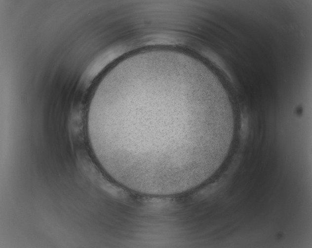 X0000115840874200912242014