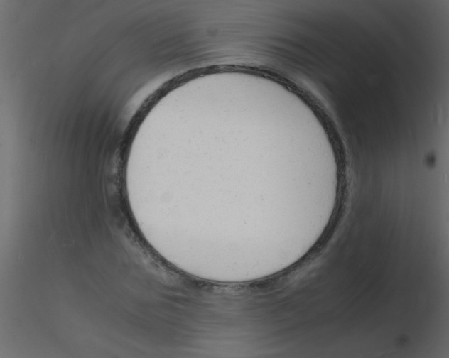 X0000115840875200912242014