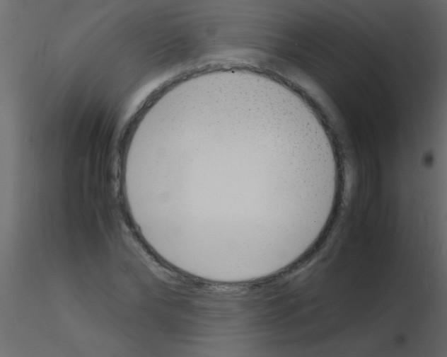 X0000115840878200912242014