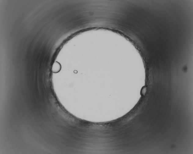 X0000115840880200912242014