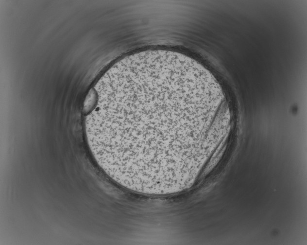 X0000115840881200912242014