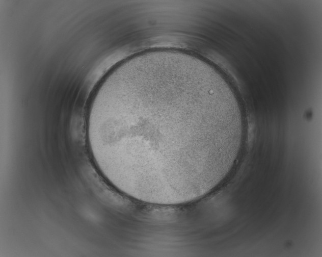 X0000115840882200912242014