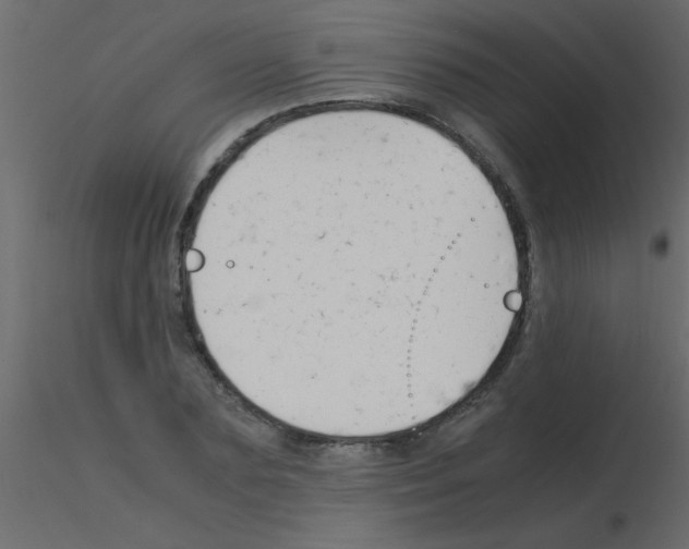 X0000115840883200912242014