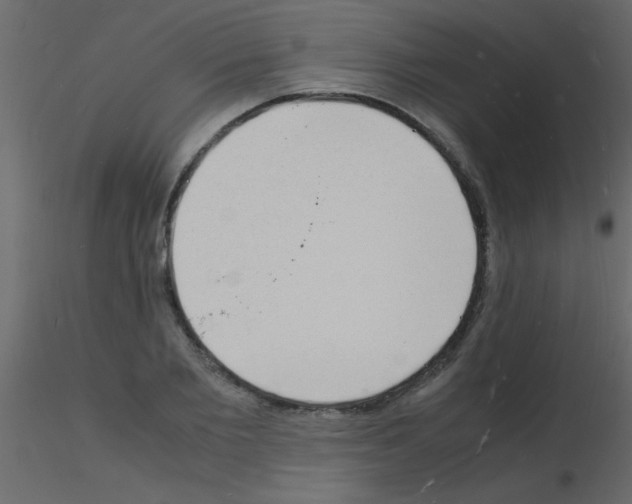 X0000115840885200912242014