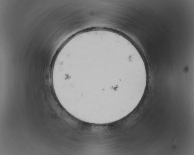 X0000115840887200912242014