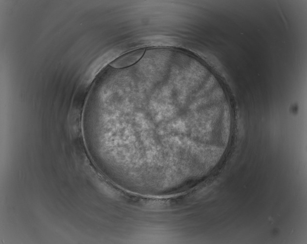 X0000115840889200912242014