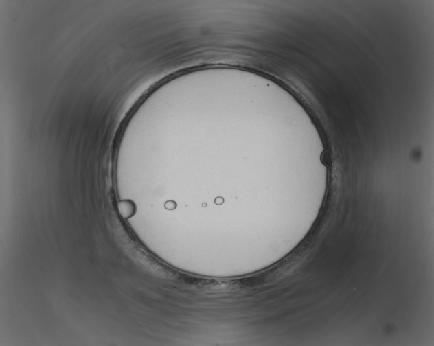 X0000115840891200912242014