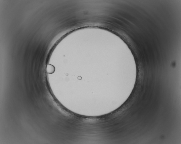 X0000115840894200912242014