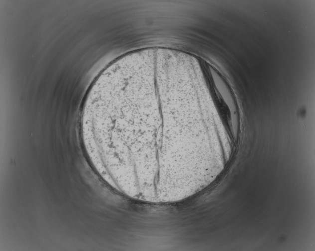 X0000115840899200912242014