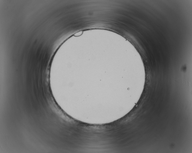 X0000115840900200912242014