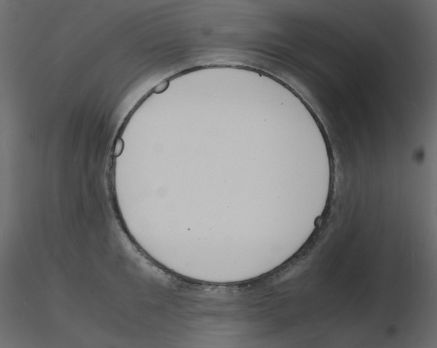 X0000115840901200912242014