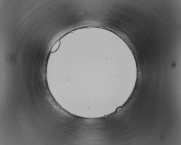 X0000115840904200912242014