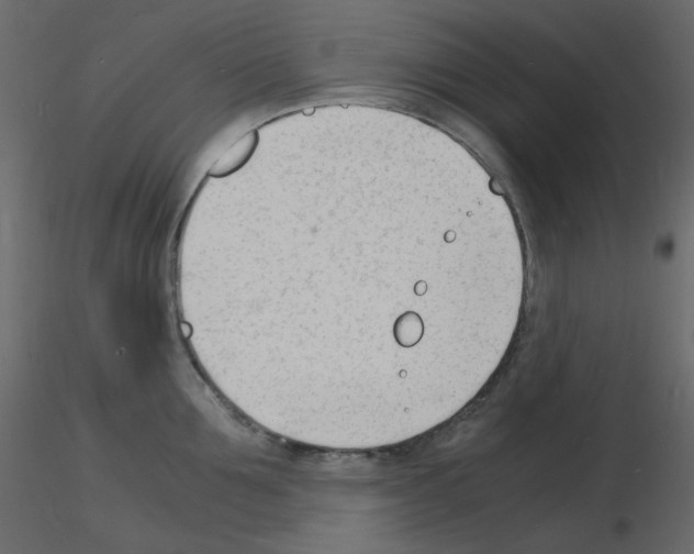 X0000115840907200912242014