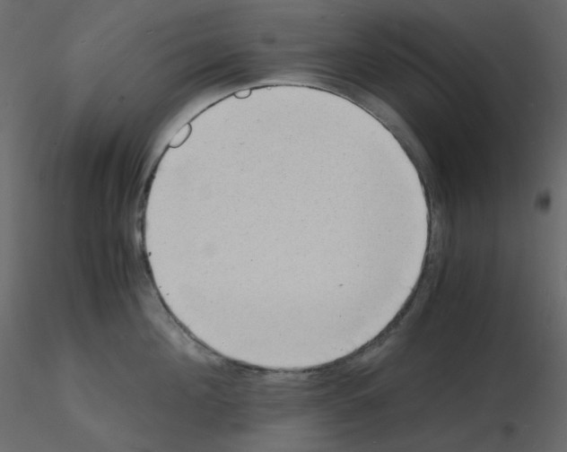 X0000115840908200912242014