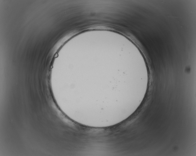 X0000115840909200912242014