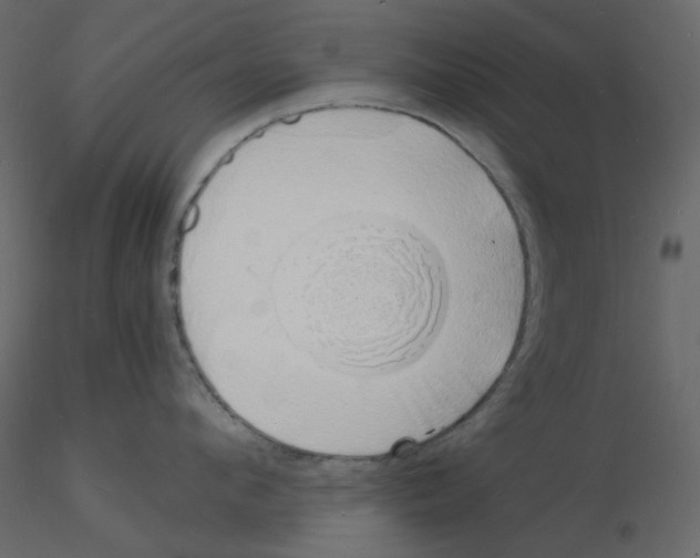 X0000115840912200912242014