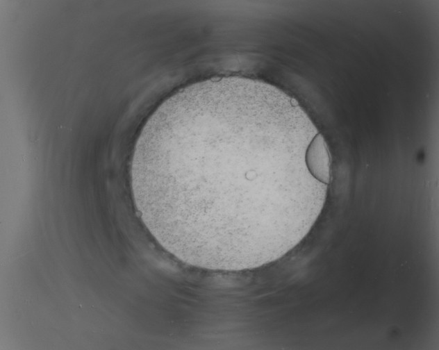 X0000115840913200912242013